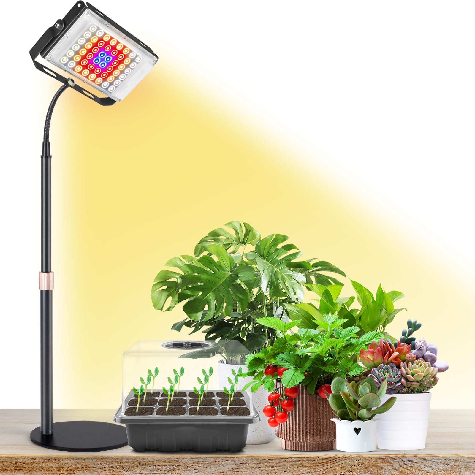LORDEMPlant Grow Light, Full Spectrum Desk Plant Light, Angle Adjustable LED Growing Lamp with On/Off Switch, Height Adjustable 9.5-15.4 inches, Ideal for Indoor Plants