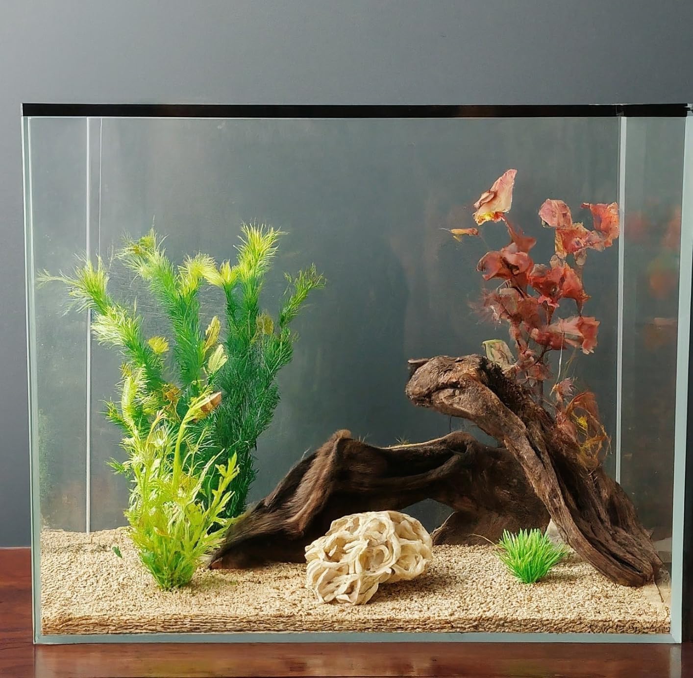 Cuve en Verre Extra-Clair pour Aquarium - Base de Votre Aquarium - 15 litres - 35x20x25 cm - Grande Résistance -Fabrication Européenne