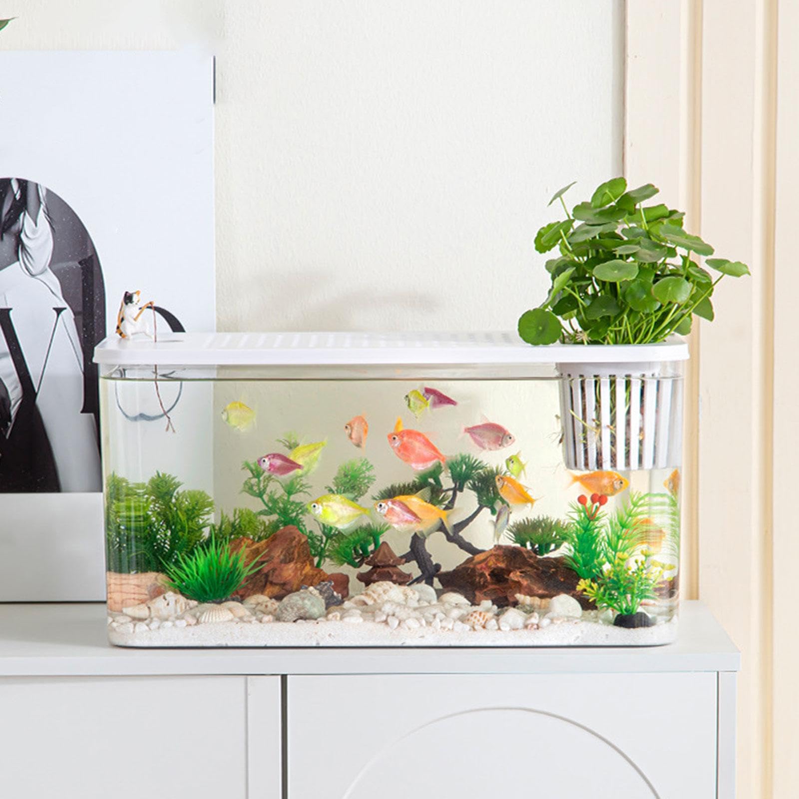 Reptilien Terrarium, Zubehör für Kleine Aquarien, Transparenter Lebensraum, Futterbox für Frösche, Schildkröten, Kampffische, Krebse, Weißer Deckel