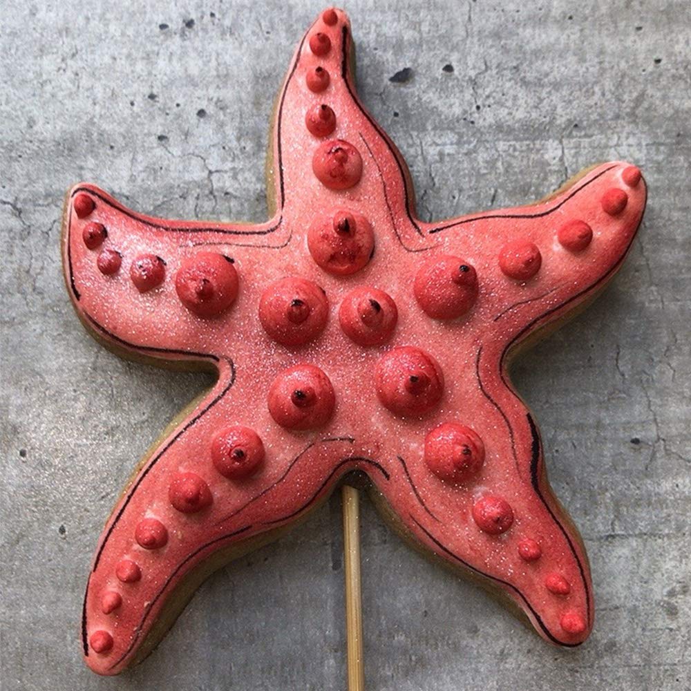 Buy LILIAO Under The Sea Cookie Cutter Set 7 Piece Shark, Whale