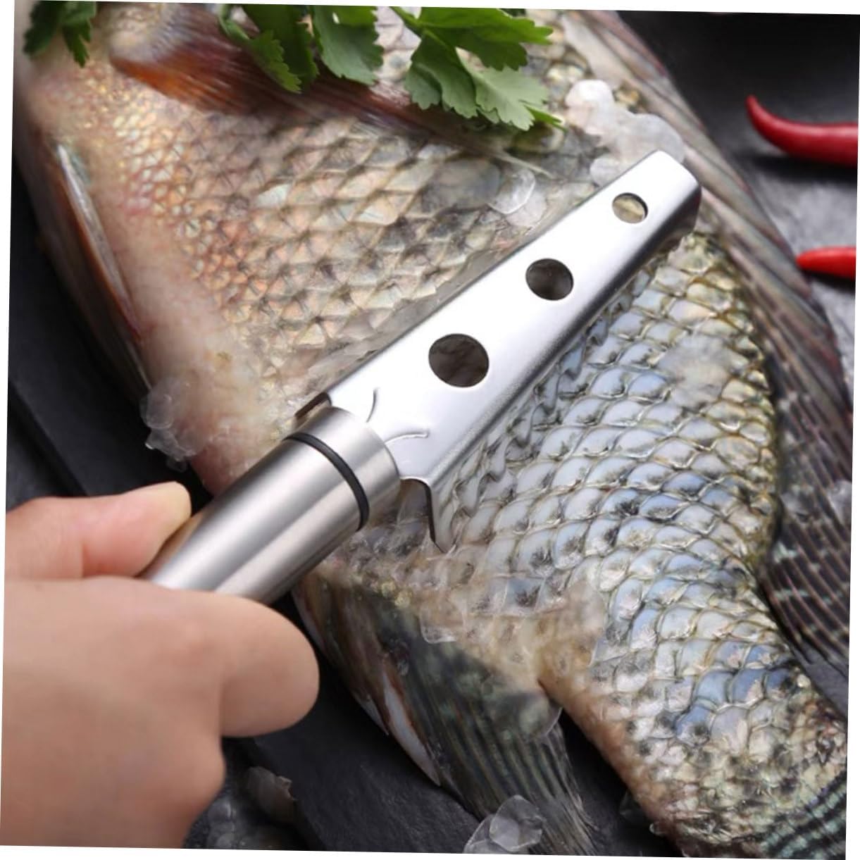 2pcs Stainless Steel Fish Scaler for Home Kitchen Manual Skin Removal image 5