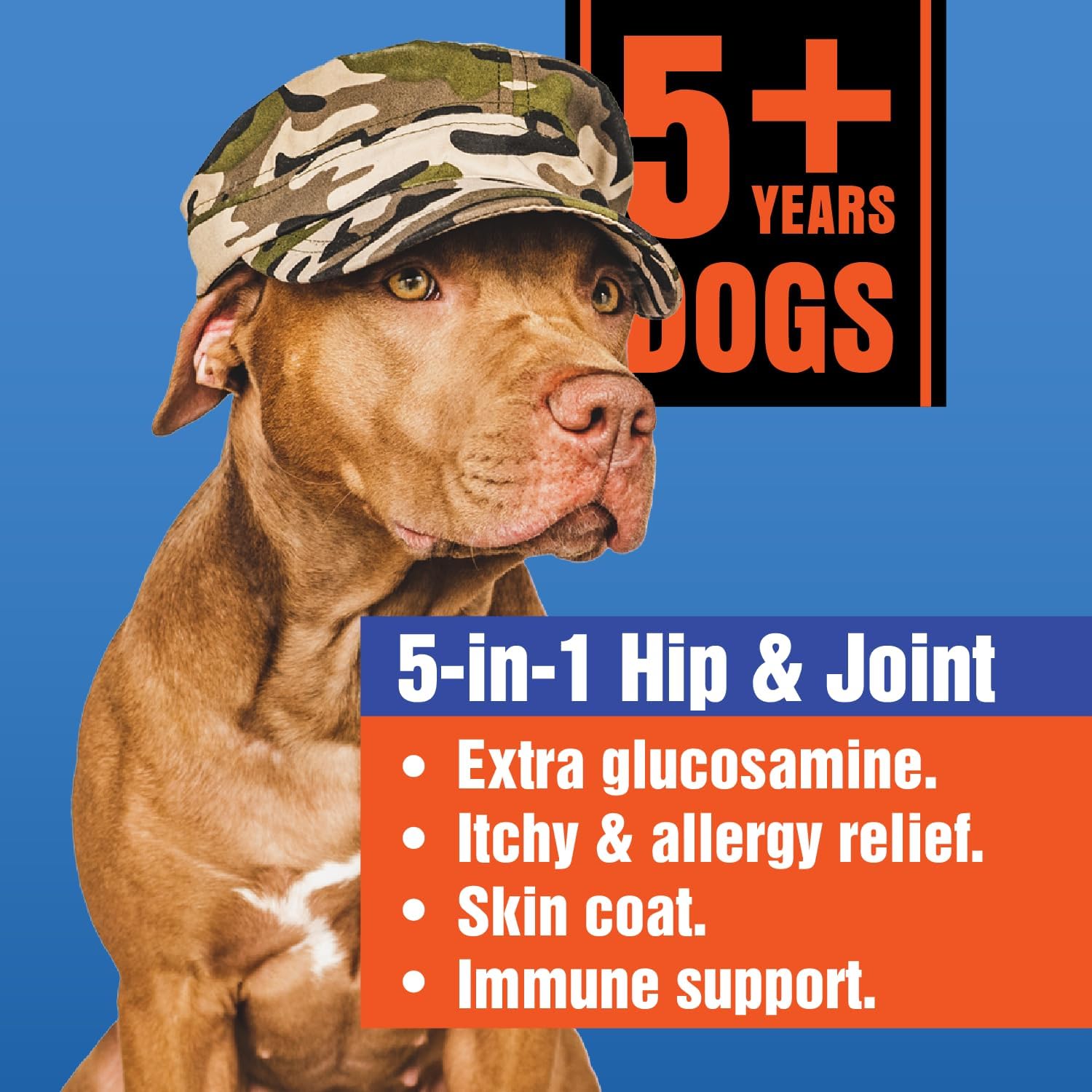Glucosamine for Dogs Hip & Joint Supplement – “5-in-1 Combo” Dog Joint Care, Immune and Dog Itchy Allergy Relief with Quercetin, Omega-3 & Probiotic for Senior Dogs (5 Years+), 60 Chewable Tablet