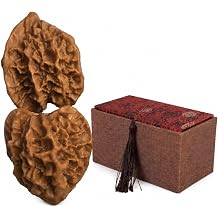 2PCS Wenwan Walnuts Pair with Gift Box, Chinese Hand Balls for Fidget Activity, Massage Balls
