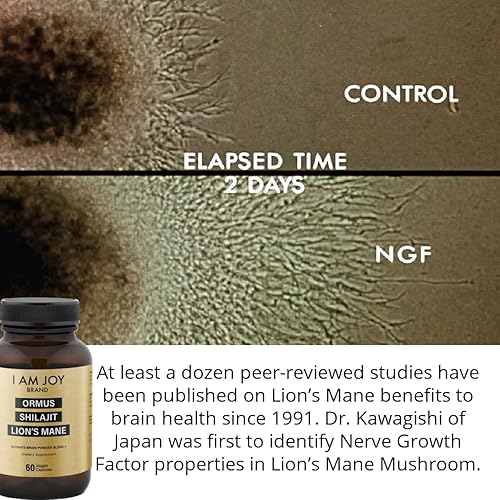 Miniatura 3 de I Am Joy co. Ormus Shilajit Lion's Mane - Ultimate Brain Power! Monoatomic 24k Gold - The Only Blend of Its Kind for Energy, Memory, & Focus - 60