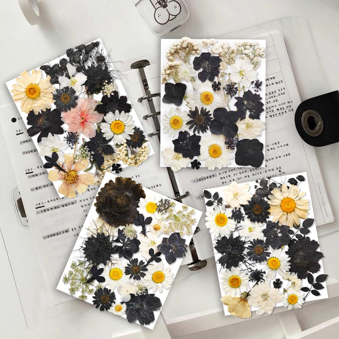 YouthBro 140Stück Schwarz Weiß Getrocknete gepresste Blumen mit Schmetterling Aufkleber für Echte Natur Blumen Set für Kunstharz DIY Schmuck Kerze Seife Vase - Image 2