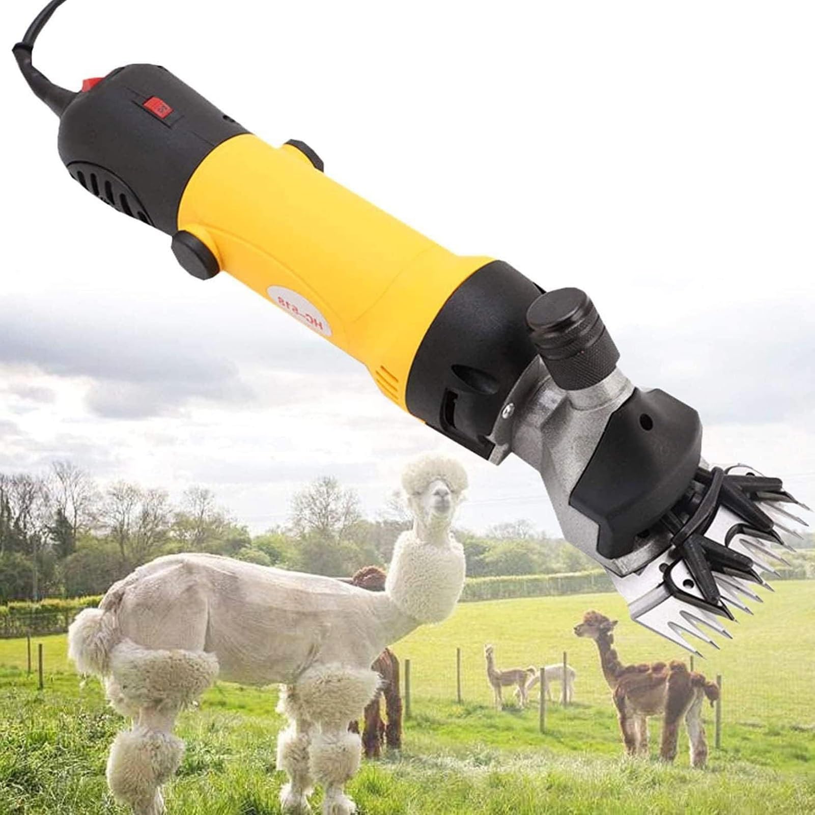 Tondeuses électriques professionnelles pour moutons et chèvres
