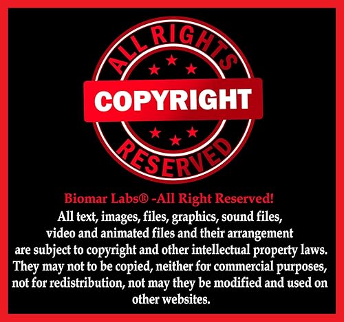 Miniatura 4 de Biomar Labs Tapacubos de rueda universales 3D, 0.157 x 2.362 in, tapacubos centrales de llantas centrales Estados Unidos de América, Estrella