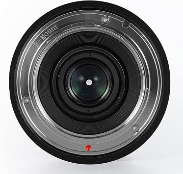 TTArtisan 7.5mm F2.0 APS-C Large Aperture Cameras Lens Fisheye Lens Compatible with Sony E Mount Camera A5000, A5100, A6000,A6100, A6300,A6400, A6500, A6600, NEX-3,NEX-3N, NEX-3R