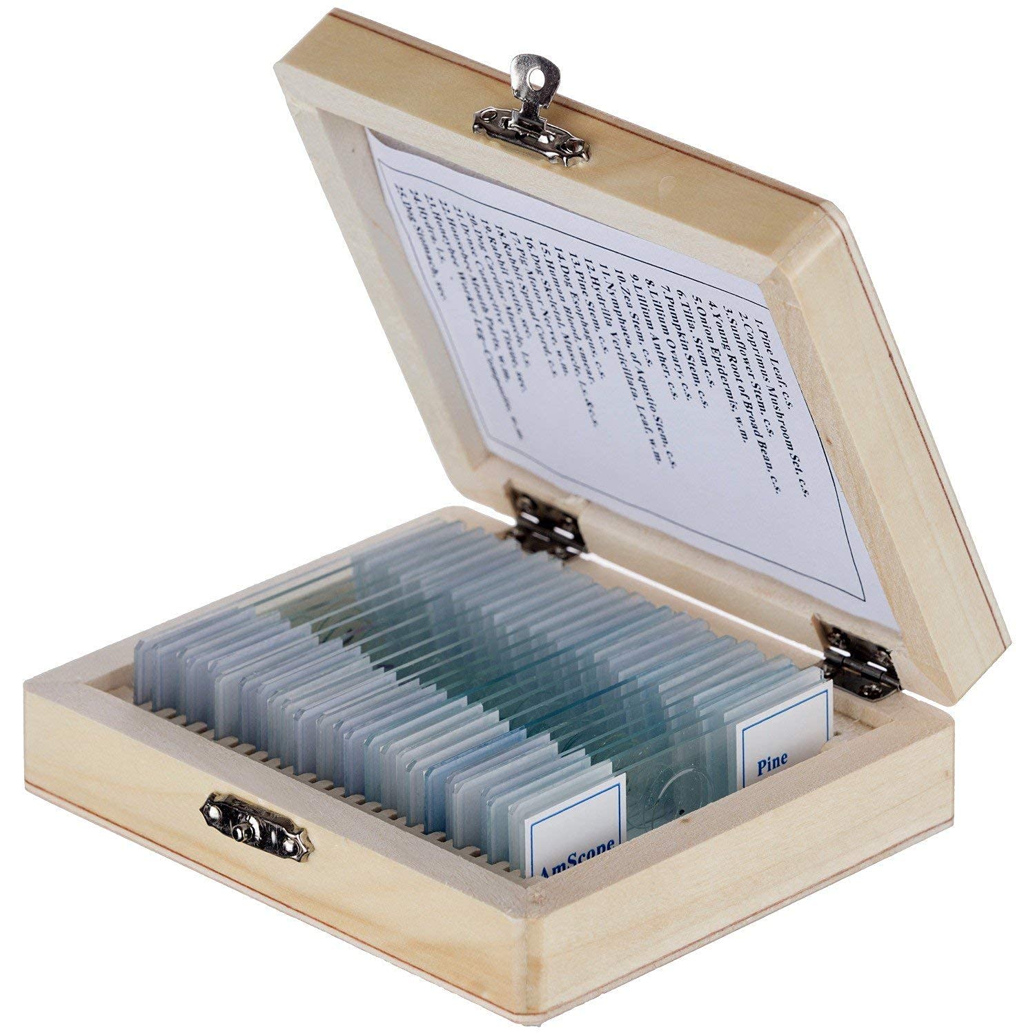 Microscope Prepared Slide Set/Biology Educational Slides-image-36