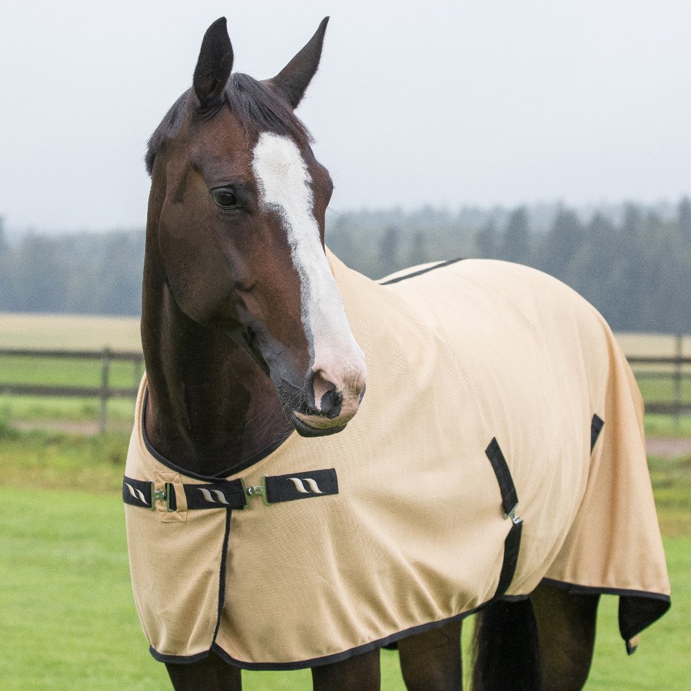 Back on Track Netzdecke Leon mit Welltex, Carmel (Gold) :