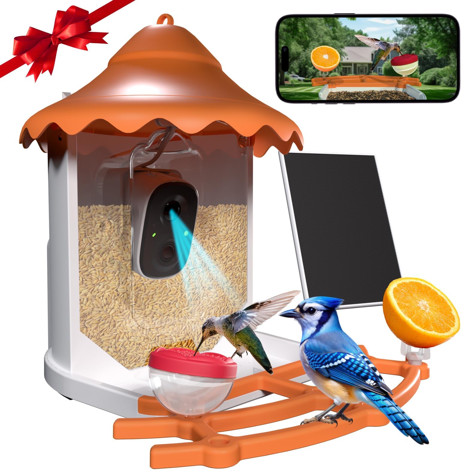 BirdsView Bird Feeder with 2K AI Camera, Solar Panel, Hummingbird Feeder, Bird House, Live Alerts & Species Recognition – Ideal for Bird Lovers