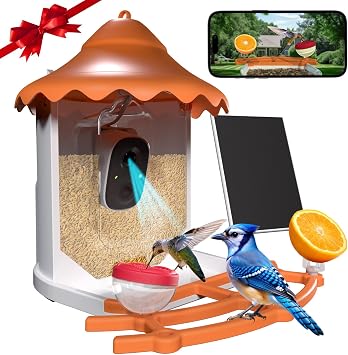 BirdsView Bird Feeder with 2K Ai Camera, Solar Panel, Hummingbird Feeder, Bird House, Live Alerts & Species Recognition Ideal for Bird Lovers