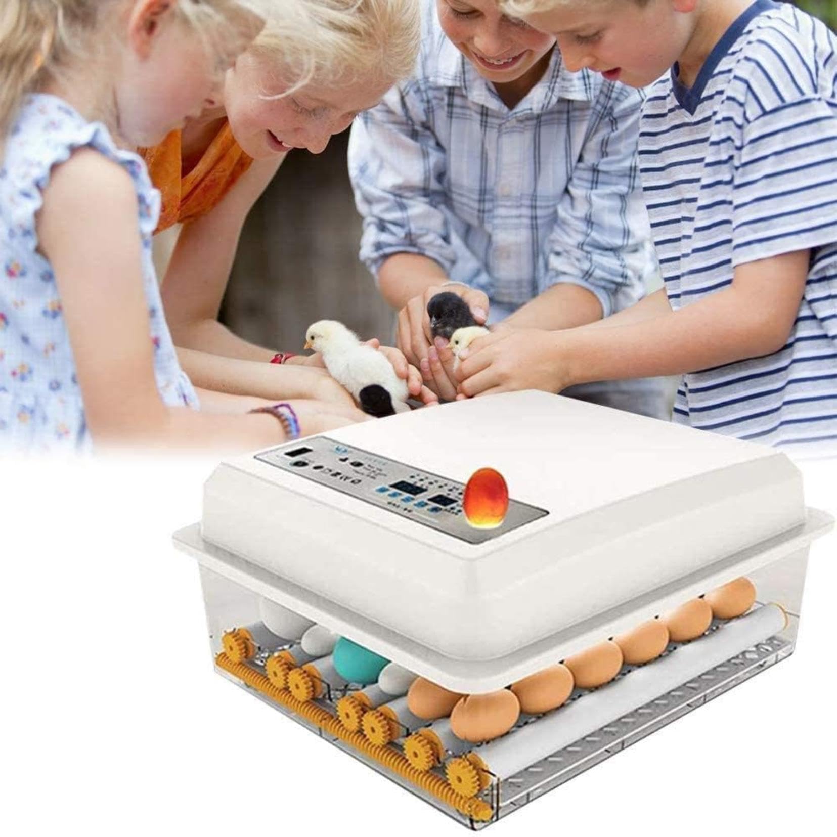 Incubateur oeufs automatique anti-perte thermique pour 16 oeufs