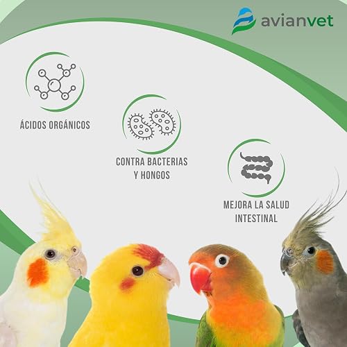 Avianvet Acidplus
