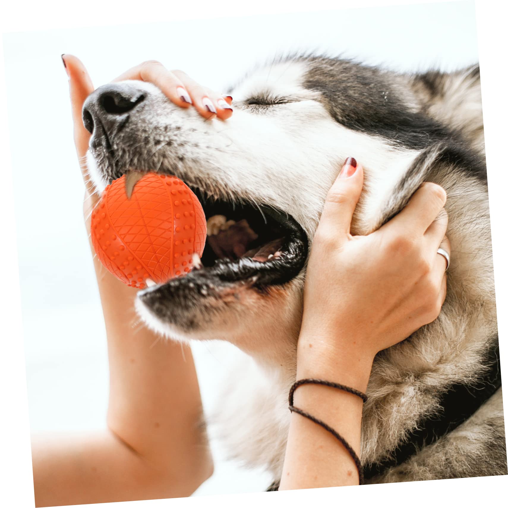 HEMOTON 4pezzi Palline per Cani di Gomma Resistente ai Morsi Giocattoli da Masticare Effetto Squittire Palline Galleggianti Piccole e Facili da Pulire per Cani