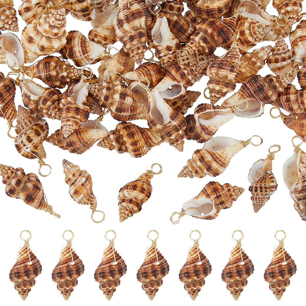 SUPERFINDINGS 60 pz Ciondoli A Conchiglia Conchiglie Naturali Ciondoli Oceano Mare Ciondoli Spiaggia Filo di Rame Avvolto Spirale Naturale Dorato Chiaro per Artigianato Fai da Te, Foro: 3mm