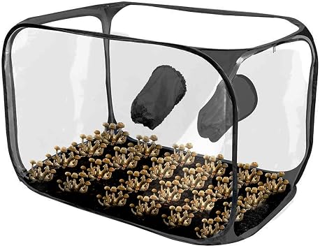 Mushroom Growing Tent Foldable Pop Design Planting House