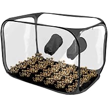Mushroom Growing Tent Foldable Pop Design Planting House | 29.92x16.93x17.52 in Mushroom Growing Supplies for Roof Farming Balcony Gardening Urban Apartment Winter Protection Backyard