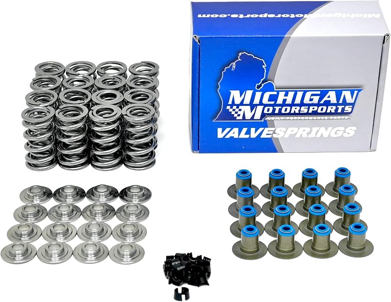 Kit de molas duplas de válvula .660" Michigan Motorsports com retentores de titânio para motores LS – Conjunto