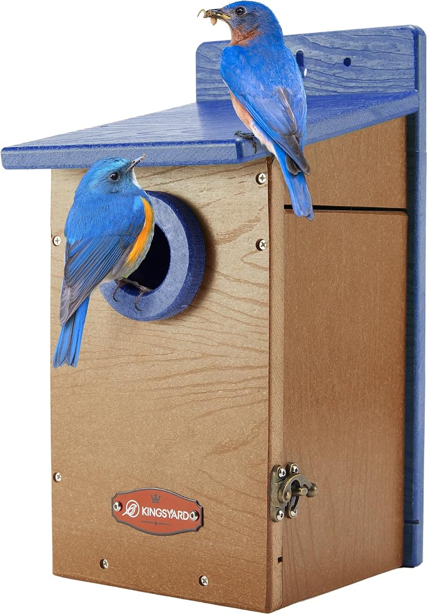 Kingyard Bluebird House, Outdoor Bird House with Predator Guard