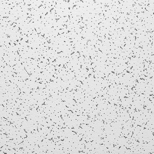 Armstrong Ceiling Tiles; 2x2 Ceiling Tiles - 16 pcs White; Acoustic Ceilings for Suspended Grid; Random Textured 934