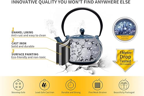 Miniatura 36 de Toptier - Tetera japonesa de hierro fundido con infusor de té de acero inoxidable. Juego de tetera de hierro fundido duradero, diseño retro Tea