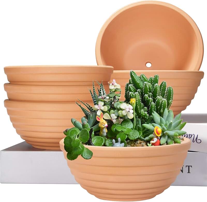 Cheap Terracotta Pots