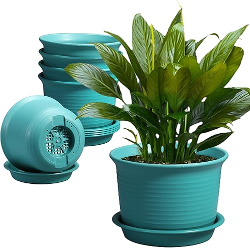Miniatura 8 de Etvski Paquete de 6 macetas para plantas de interior, macetas con orificio de drenaje y platillo de bandeja, maceta de 7 pulgadas, macetas de 6