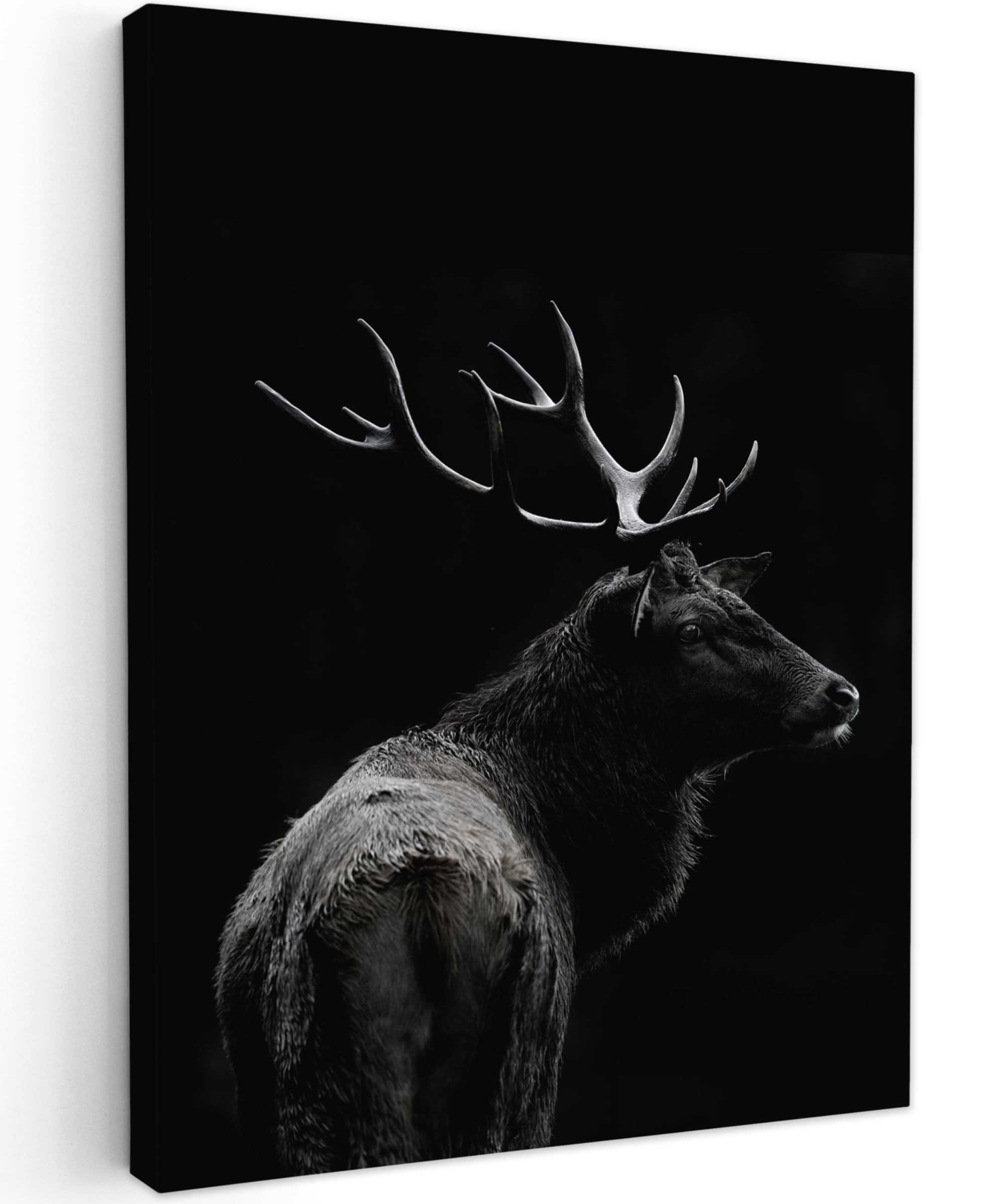 MuchoWow© Canvas Wall Art 24"x31" / 60x80 cm Decor Paintings Print framed on Canvas Pictures for Hallway Deer - Black - Portrait - Antlers - Animals — image 1