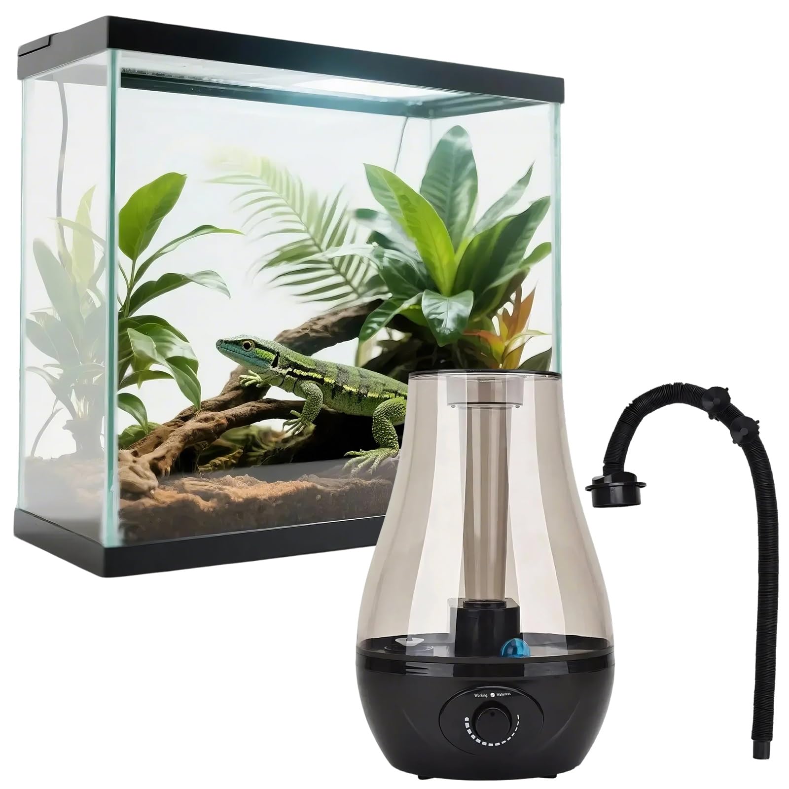 Nebulizador de Reptiles de Gran Capacidad de 3 L, Humidificador de Terrario, Máquina de Niebla para Reptiles y Plantas de Vivero(Black)