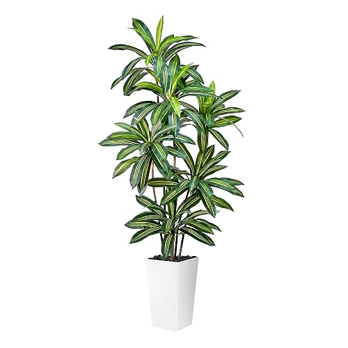 Artificial Dracaena Tree 6FT Tall Fake Plant with White Planter - Realistic Faux Dragon Tree with Tall Planter - Indoor Floor Plant for Home, Office,Mall, Living Room, Bedroom Decor - White - Planter - 5ft 11in