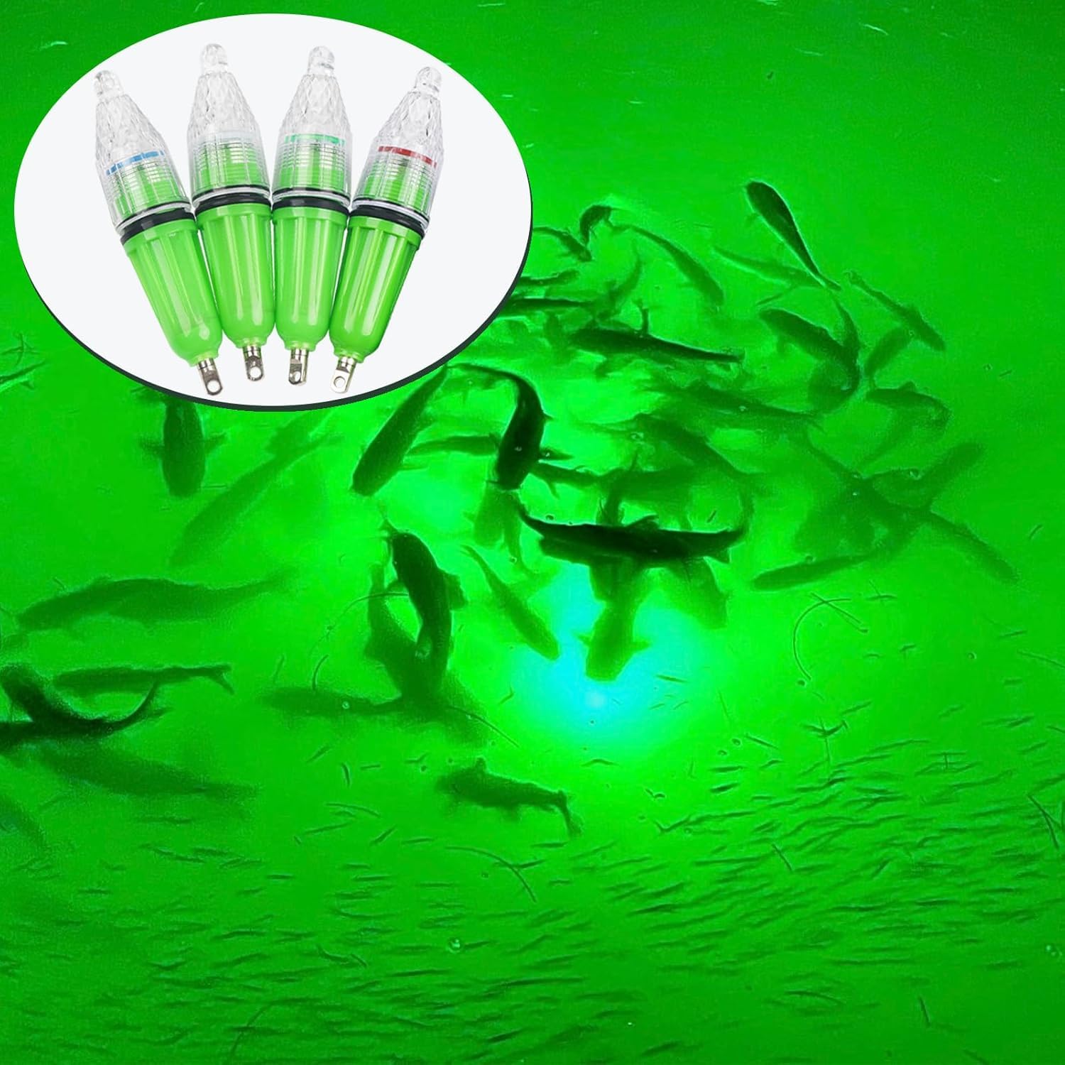 aqua lure fishing light Amazon.com: LED Underwater Fishing Light,6 Packs Waterproof Flashing  Attractive Fish Lights Bait Lure Lamp 4.5inch and 6.7 inch (Blue, 6.7inch