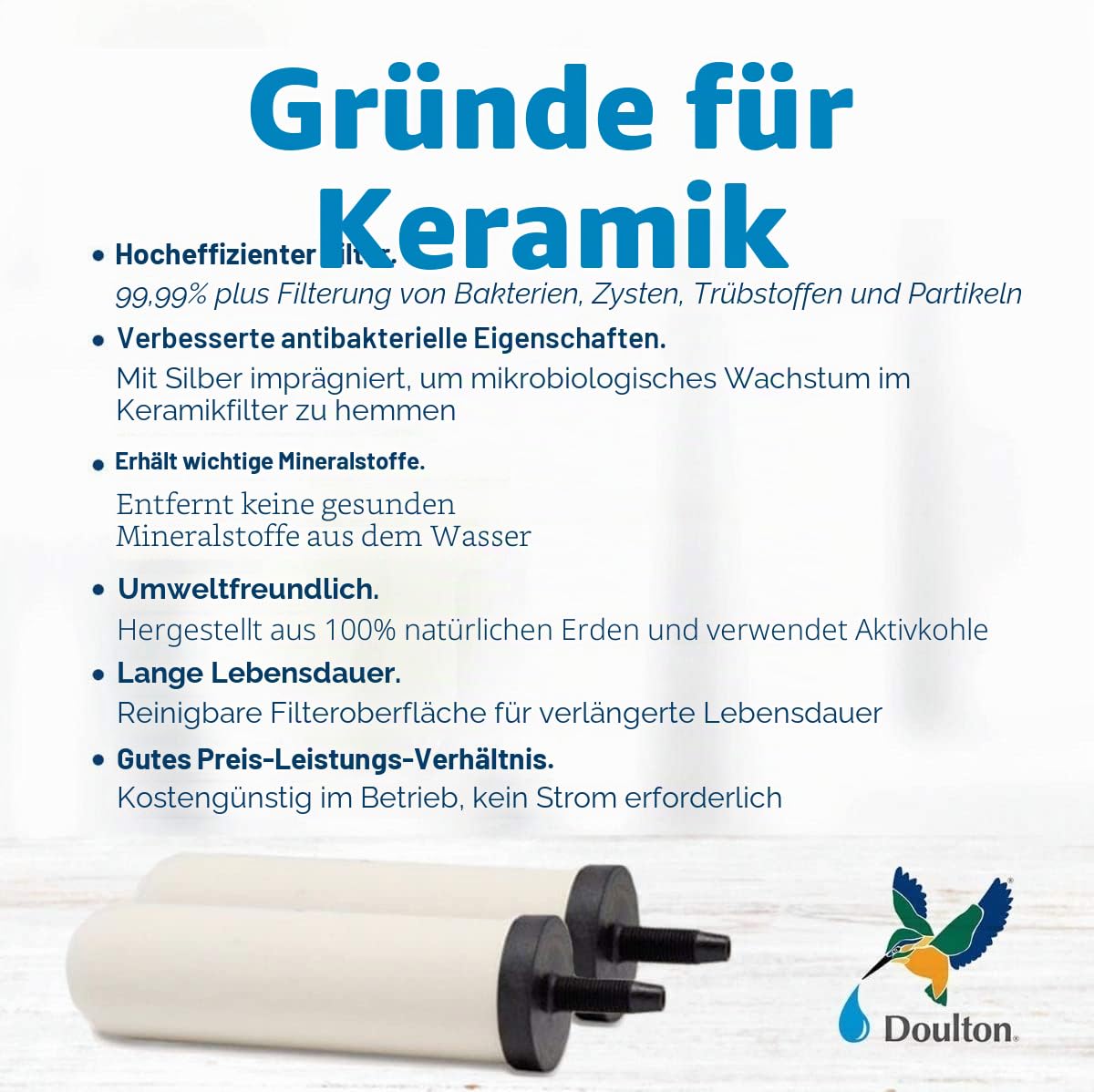 British Berkefeld W9361151 Edelstahl Trinkwasser Schwerkraft Filtergehäuse mit 2 x Keramik ATC Super Sterasyl Wasserfilter Kartusche Kerzen 17.8 cm, silber
