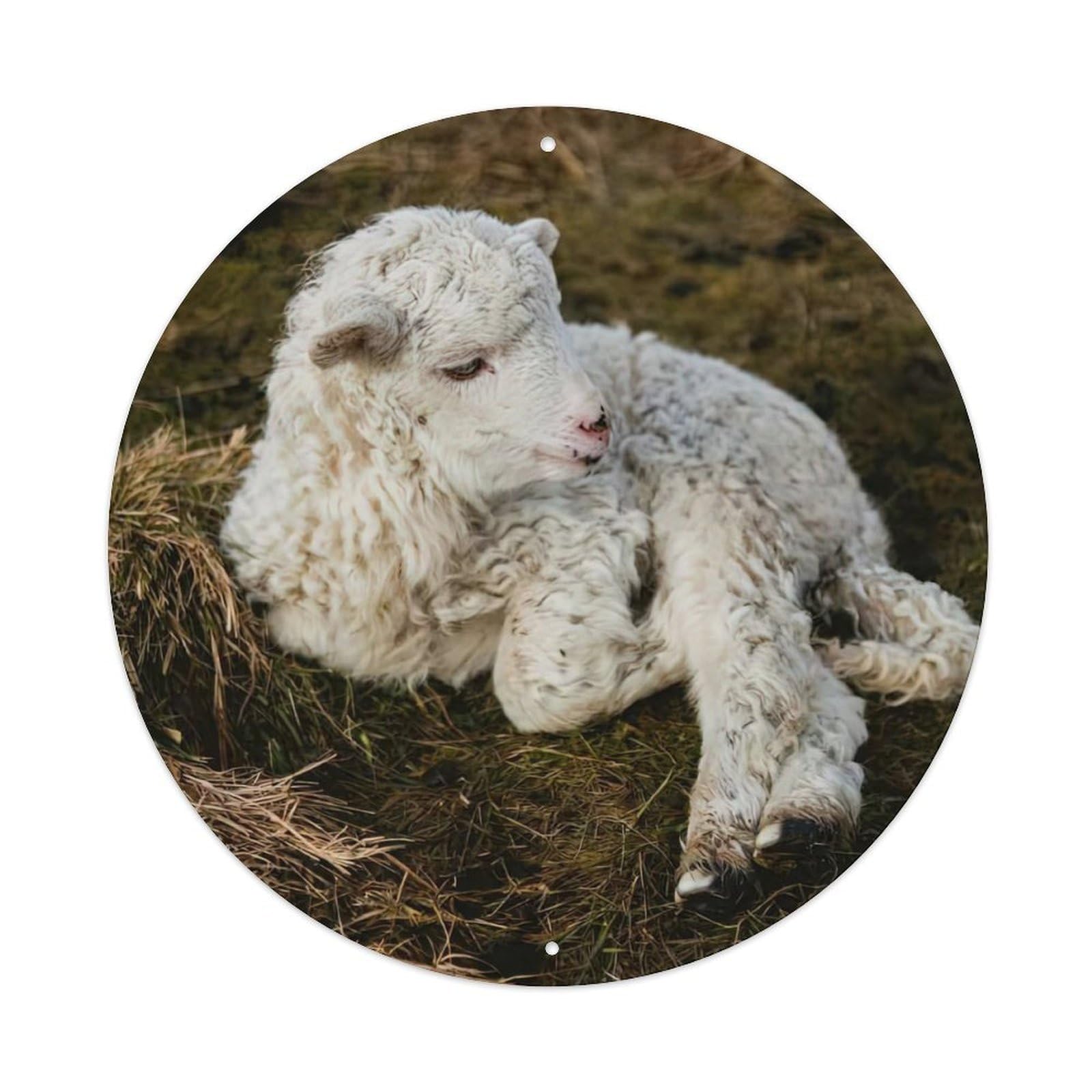 Sheep Animal Vintage Metal Tin Sign Plaque Wall Decor for Cafe, Club Bar, Office, Garden Metal Poster 8x8Inch