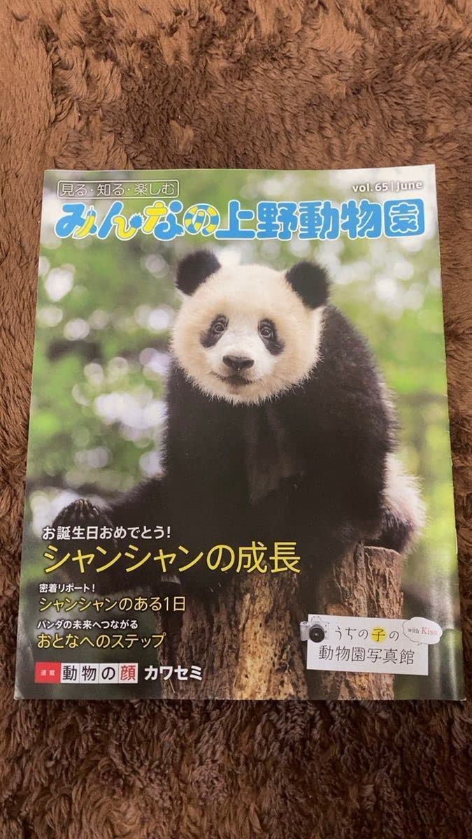 Amazon.co.jp: みんなの上野動物園 Vol.65 上野動物園 パンダ