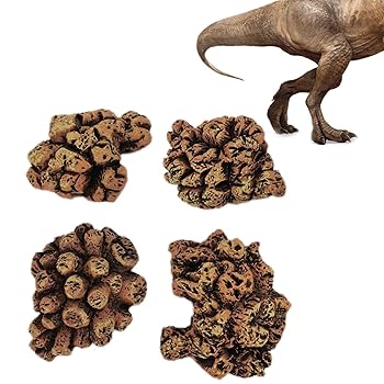 恐竜の糞 化石 71uZcWYWAsL._UF350,350_QL80_.jpg