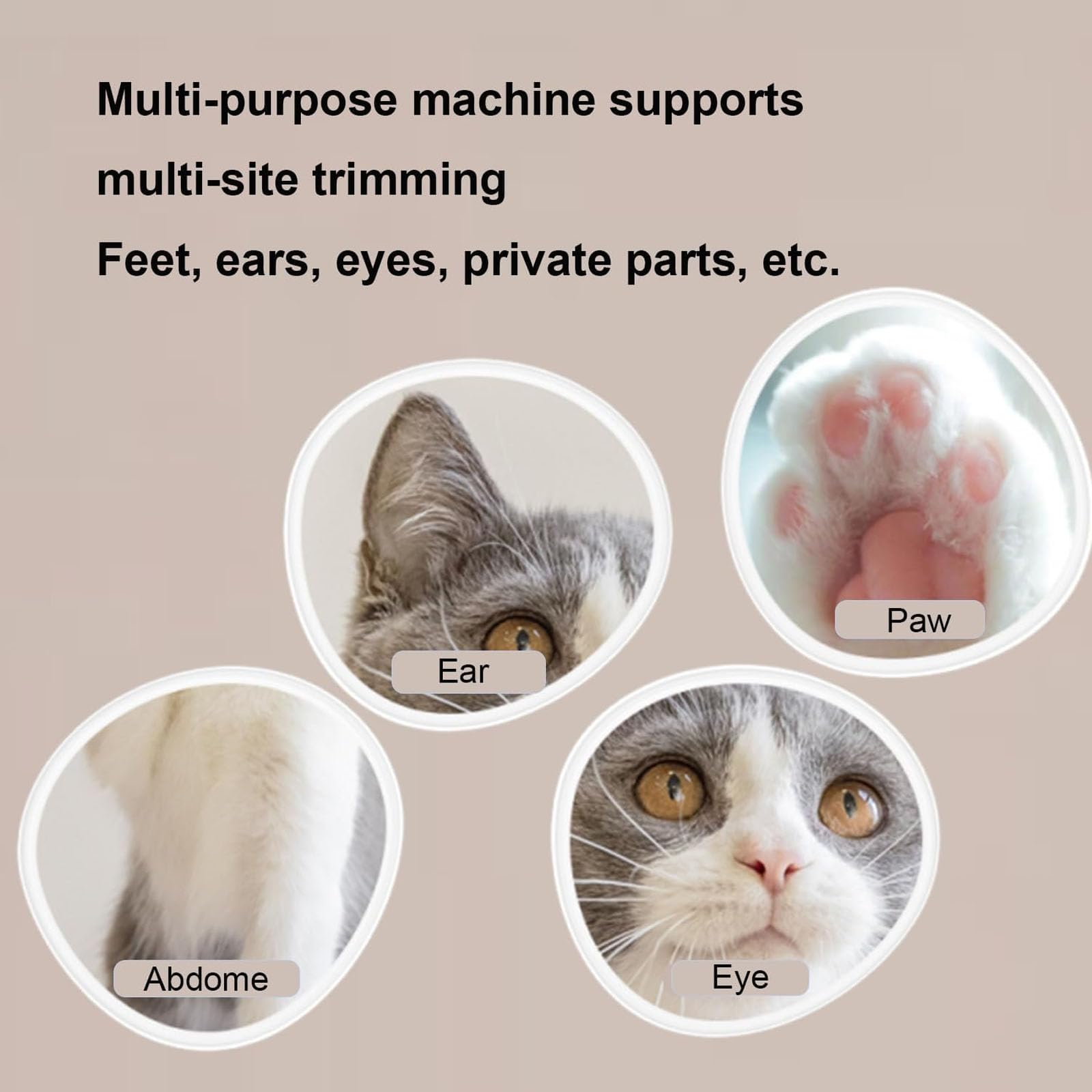 Tosatrice per Cani per La Toelettatura, Tagliacapelli per Zampe di Cani E Gatti con Luce LED, Testina in Ceramica per Peli di Animali Domestici per Cani di Piccola Taglia E Gatti
