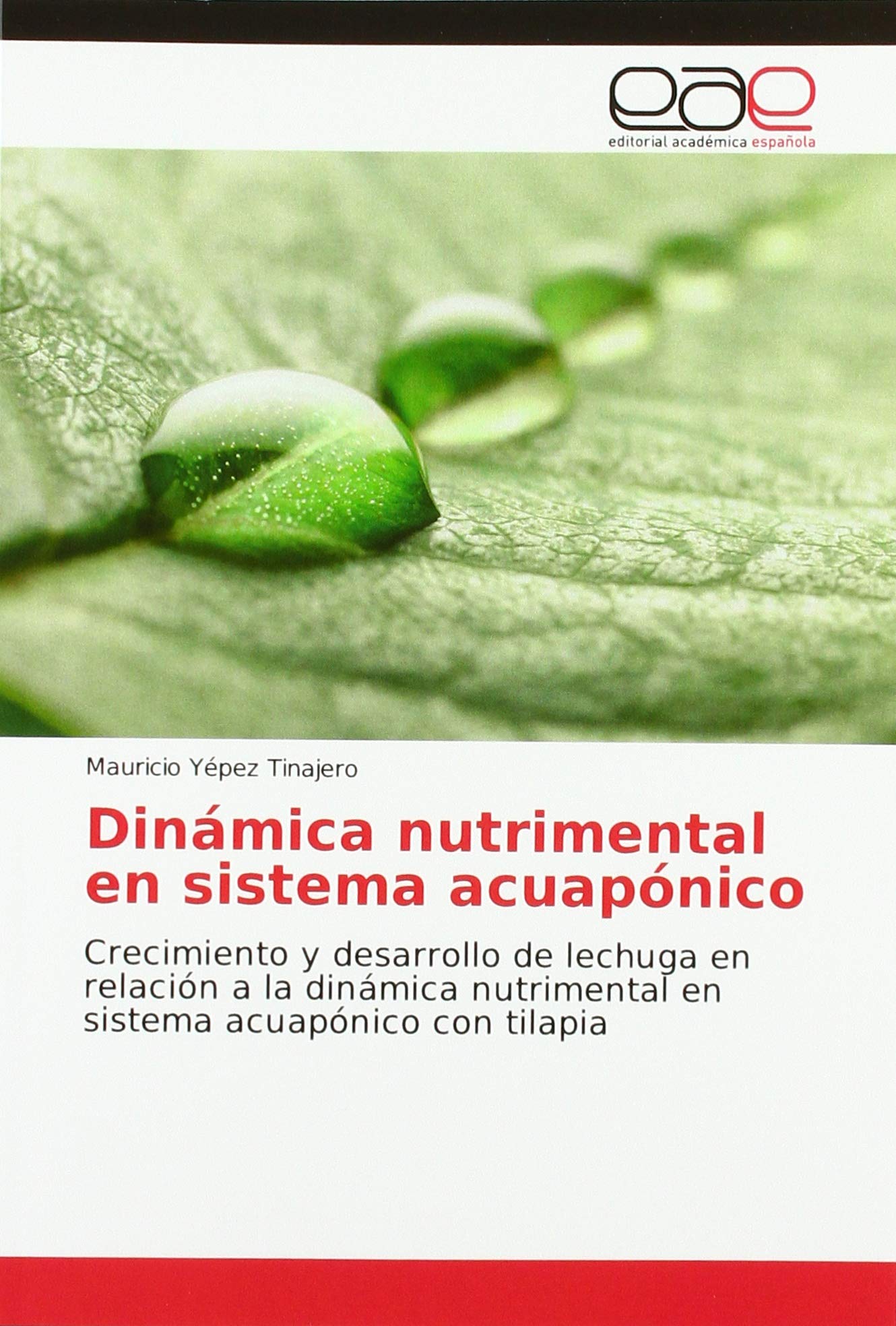 Dinámica nutrimental en sistema acuapónico: Crecimiento y desarrollo de lechuga en relación a la dinámica nutrimental en sistema acuapónico con tilapia