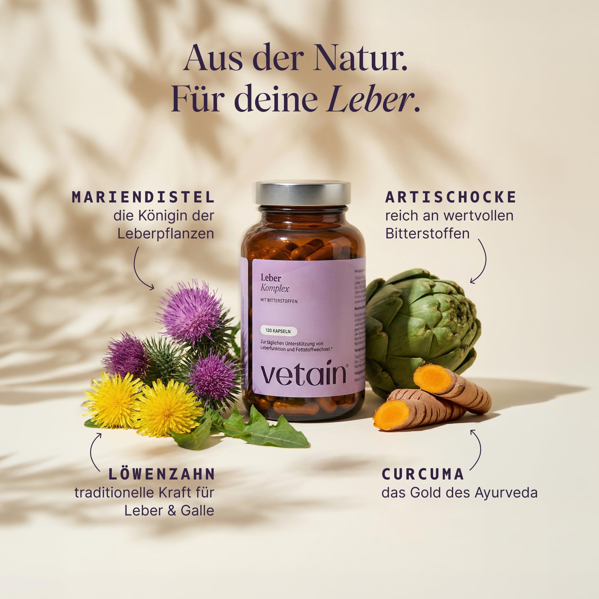 VETAIN Leber Kur Mariendistel Komplex - 80 % Silymarin (200mg) - Löwenzahn, Cholin, Artischocke, Curcuma & Zink - 120 Kapseln - Hochdosiert & vegan - produziert & laborgeprüft in Deutschland