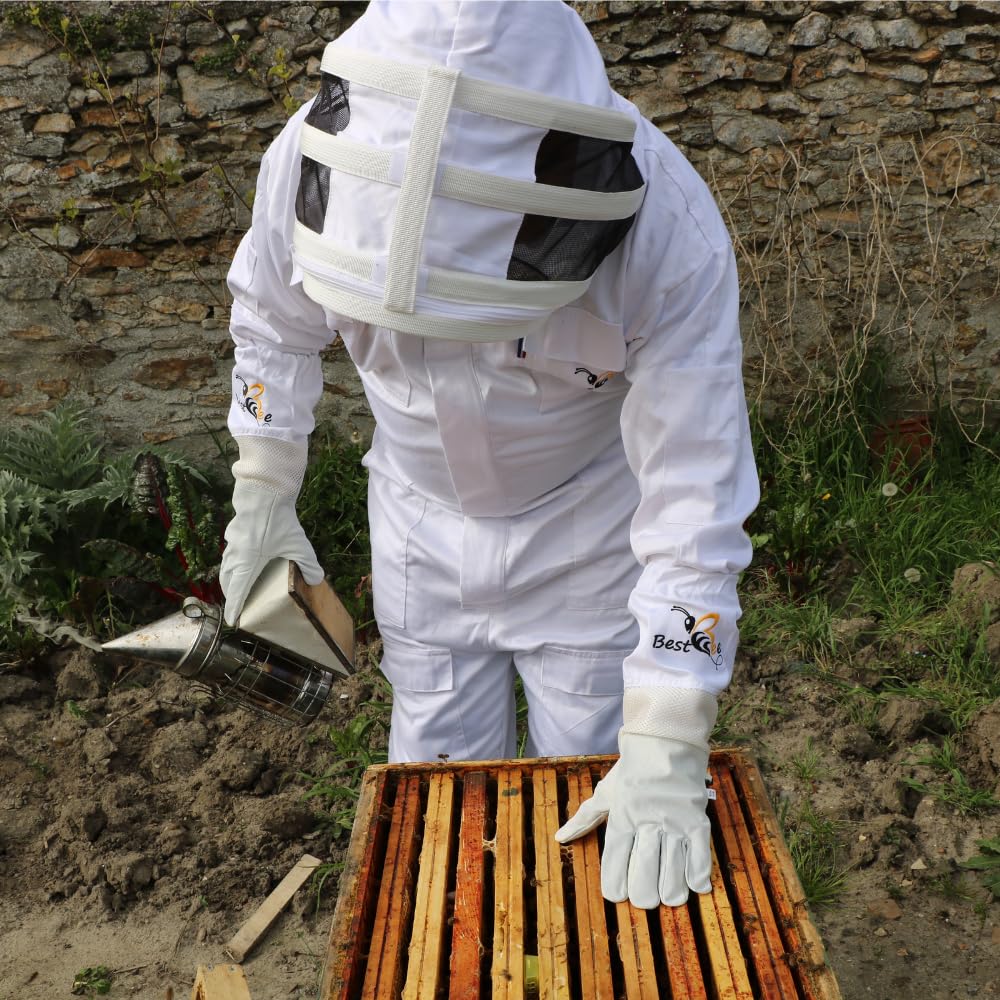 Best Bee Tuta per apicoltore in tessuto spesso e cotone di alta qualità, cerniera robusta, cappuccio rimovibile, tasche per attrezzi, tenuta per apicoltura anti vespe e api SG (XL)