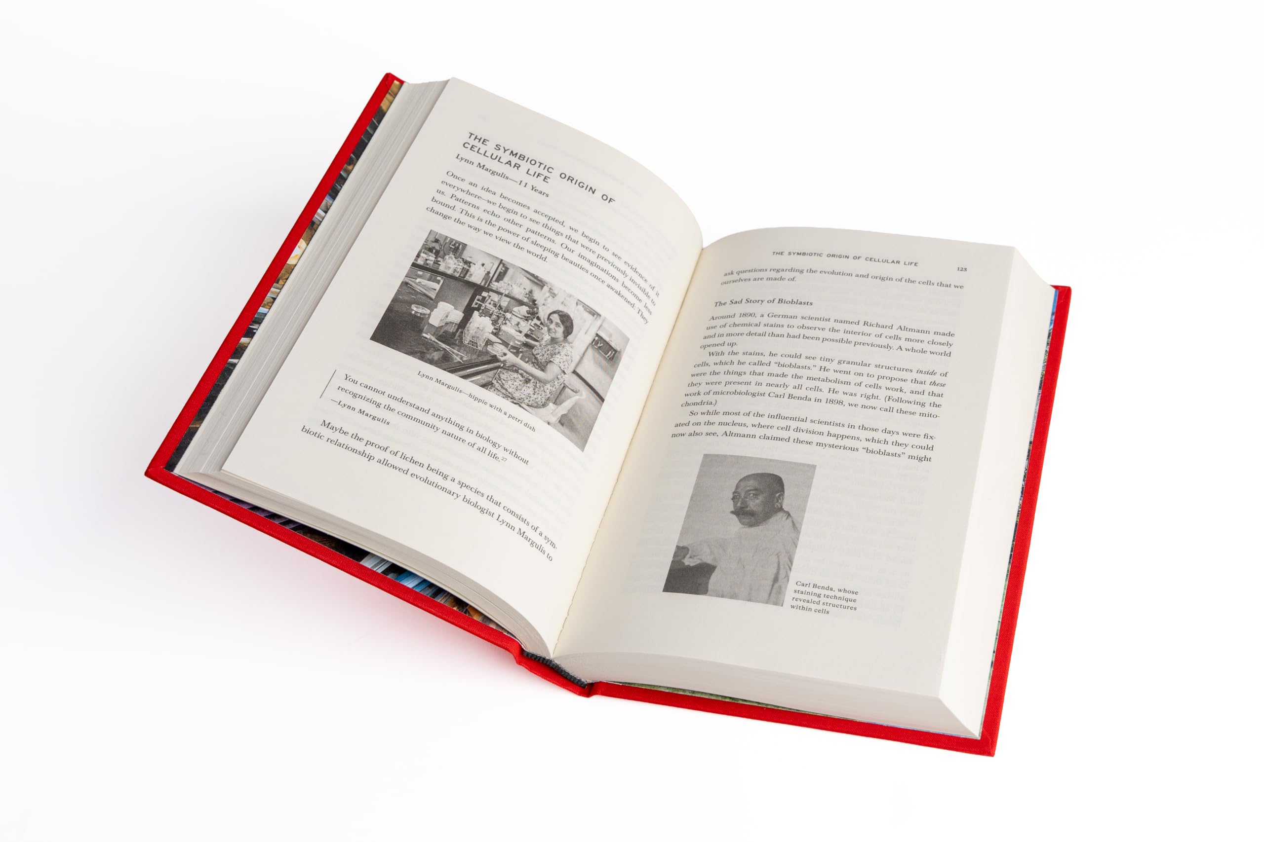 Amazon.com: David Byrne: books, biography, latest update