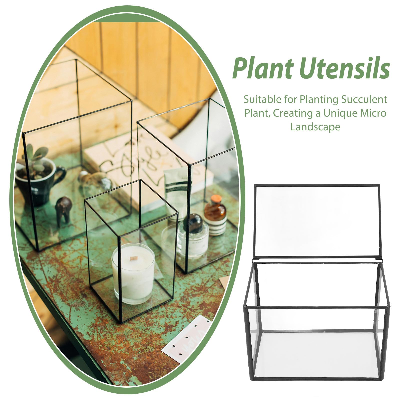 Terrario Decorativo Plantas Vidrio de Soporte y Simple para Flores