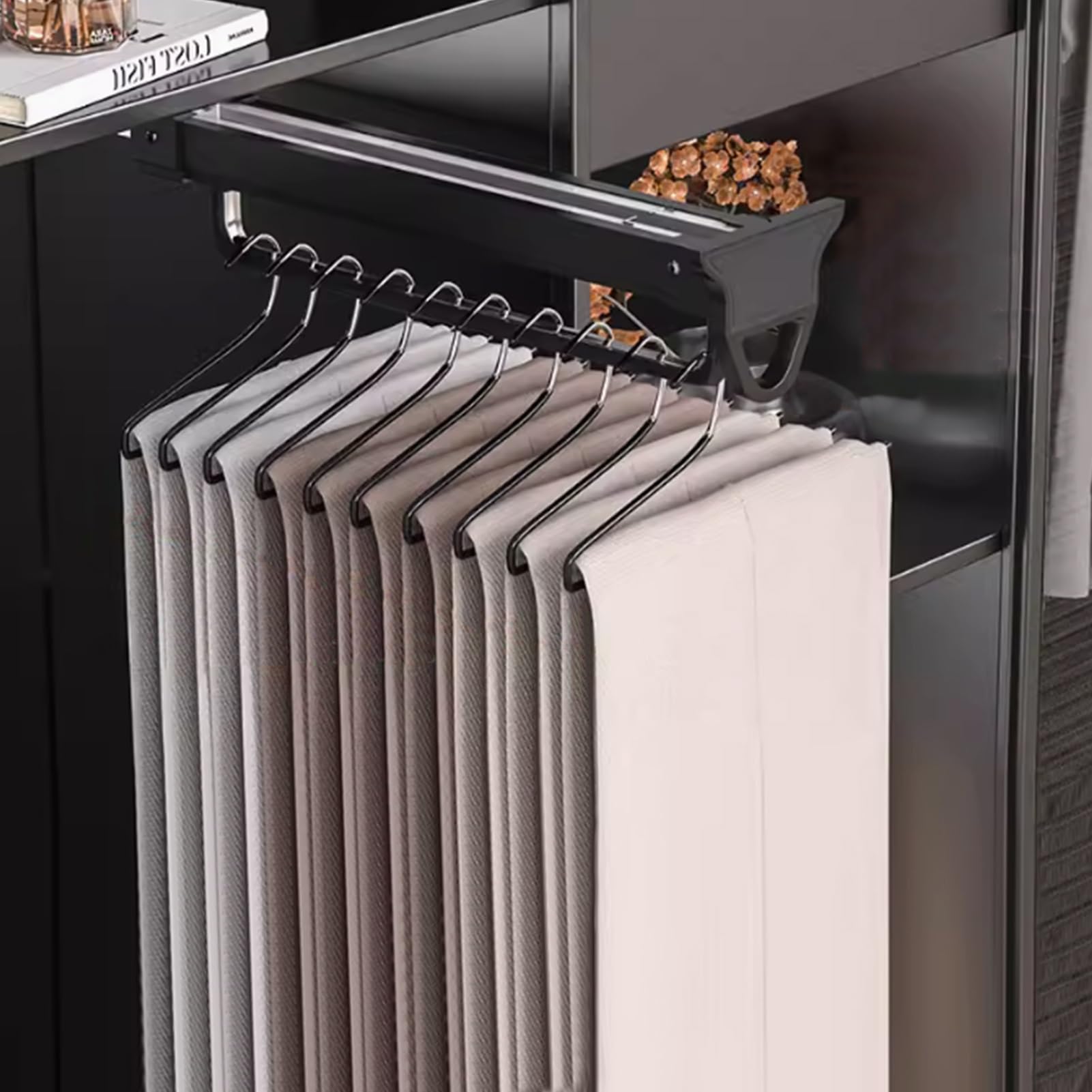 Tige de placard rétractable avec amortisseur et support de pantalon extensible