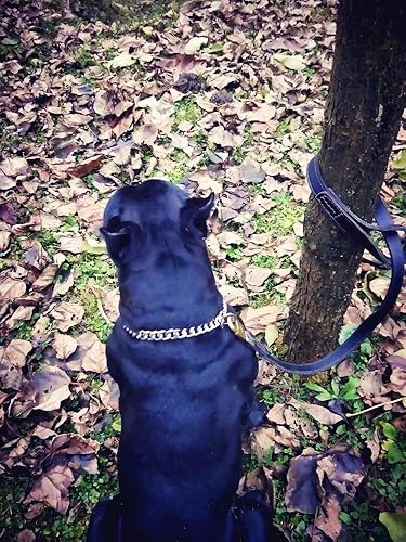 Miniatura 5 de Loveshine Collar de cadena para perro, collar de cadena de metal de acero inoxidable resistente para perros medianos (0.59 pulgadas, 22 pulgadas)