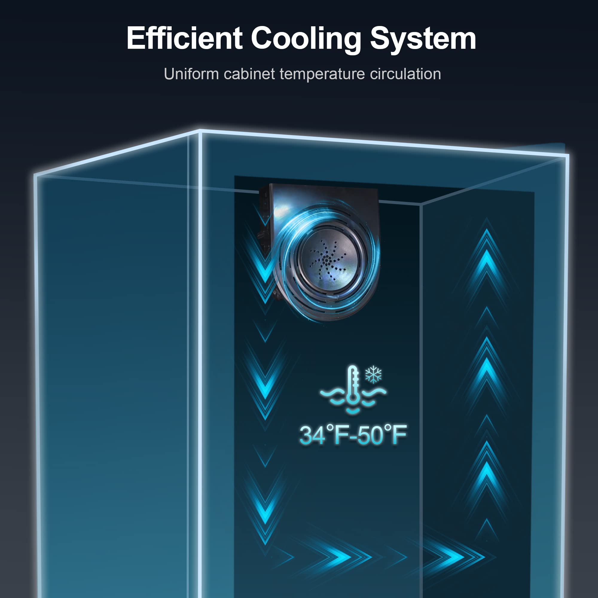 Buy CROWNFUL Mini Fridge Cooler, 126 Cans Beverage Refrigerator with Adjustable Shelves for Soda