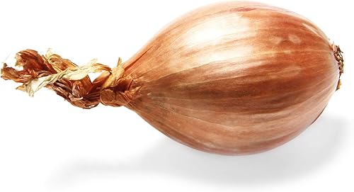 Shallot, 1 Each