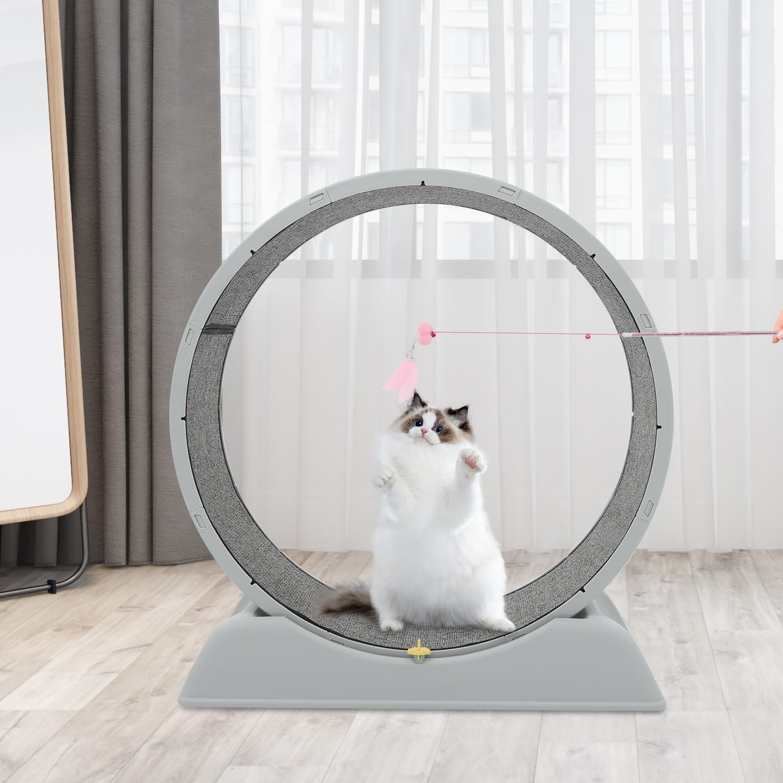 Ruota per gatti, 80 cm, portata 10 kg, base antiscivolo, 79 x 34 x 84 cm, chiave di sicurezza con tappeto rimovibile, ruote silenziose, ideale per soggiorno, balcone
