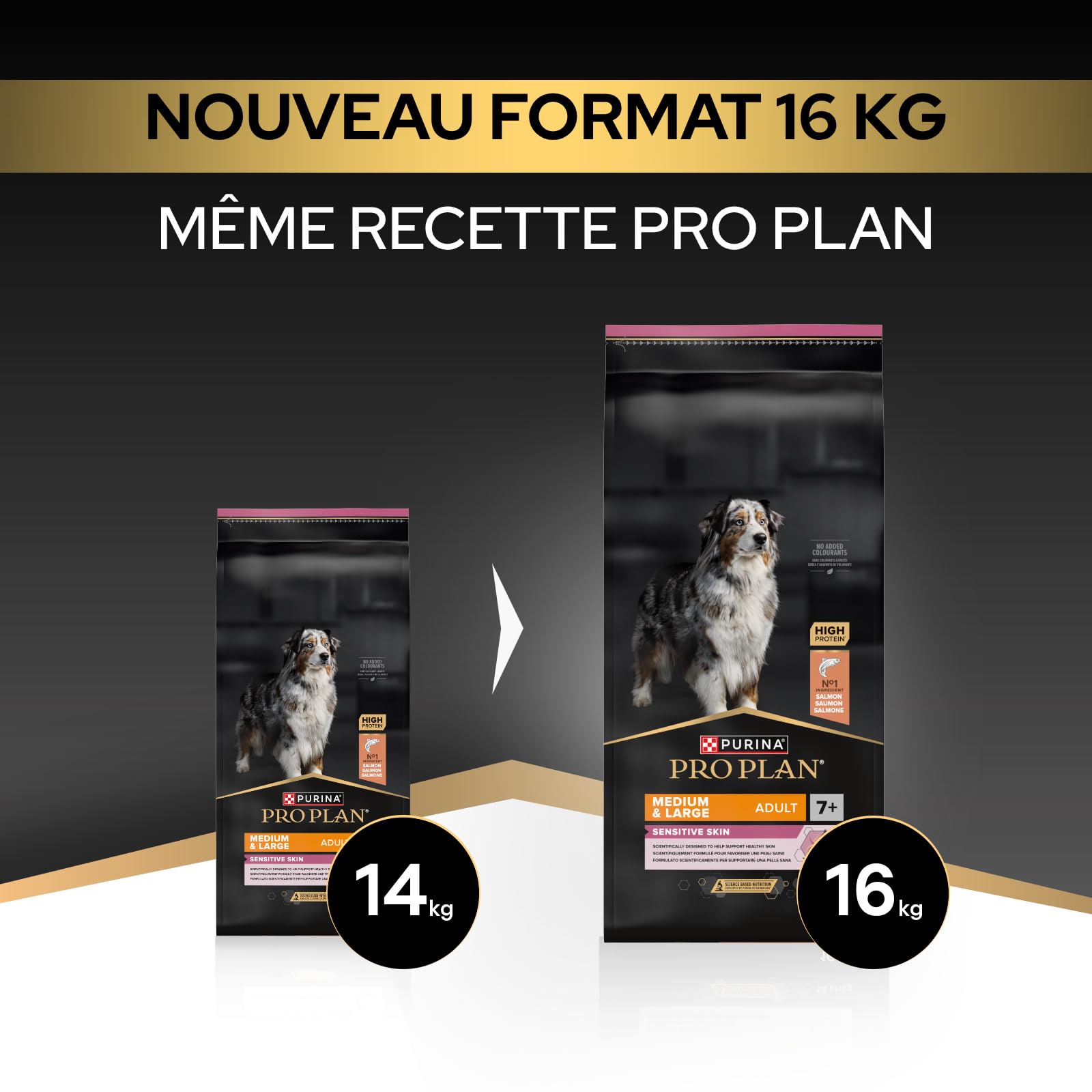 Purina Pro Plan - Sensitive Skin - Croquettes Chien Senior Saumon - 16 kg