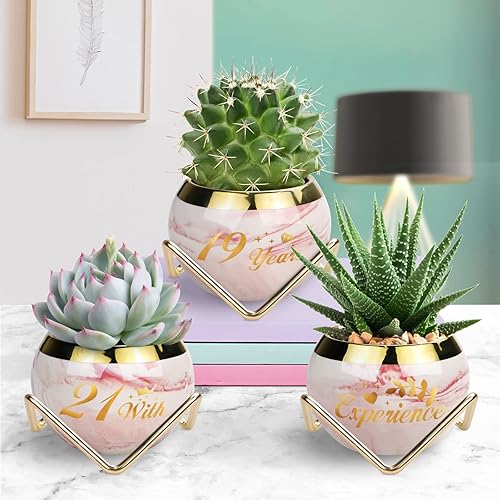 Miniatura 2 de Vmini Regalos de cumpleaños número 40 para mujeres macetas para suculentas macetas pequeñas para interiores macetas de jardín regalos únicos y