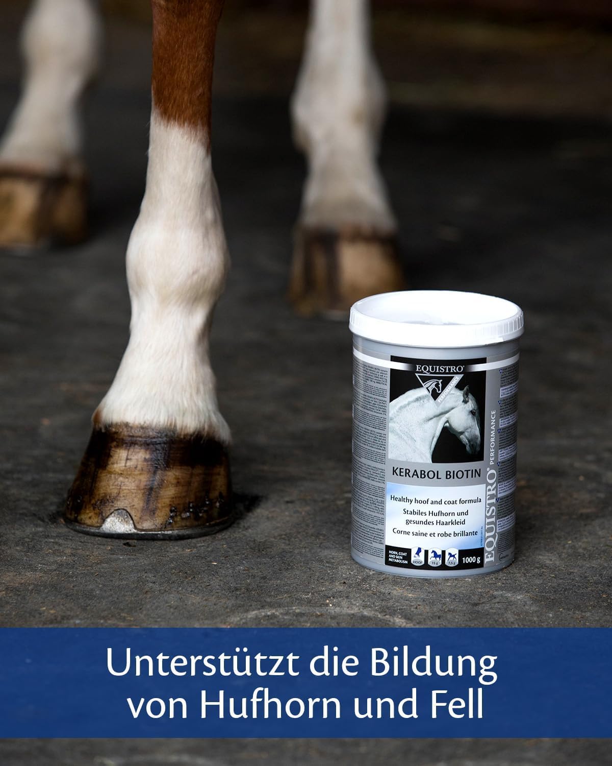 EQUISTRO® Kerabol Biotin| Ergänzungsfuttermittel für Pferde | Fördert ein gesundes Hufwachstum und Fellwachstum| Soforthilfe bei geschädigtem Hufhorn | 1.000g